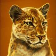 Leopard symbol in Wild Cats Multiline slot