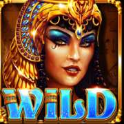 Wild symbol in Egyptian Ways slot