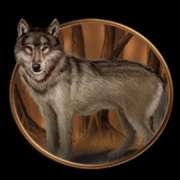 Wolf symbol in Night Wolves slot