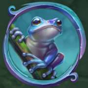 Frog symbol in Rainforest Magic slot