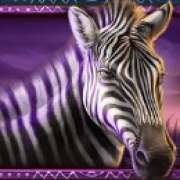 Zebra symbol in African Elephant slot