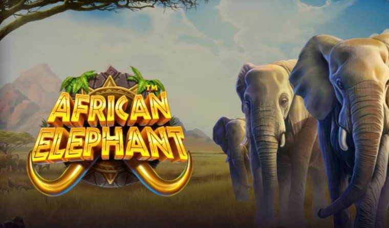 Play African Elephant slot