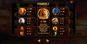African Fortune: Payout table