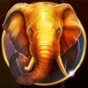 African Fortune: Elephant