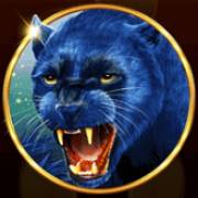 African Fortune: Panther