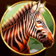 African Fortune: Zebra