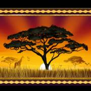 African Quest: View