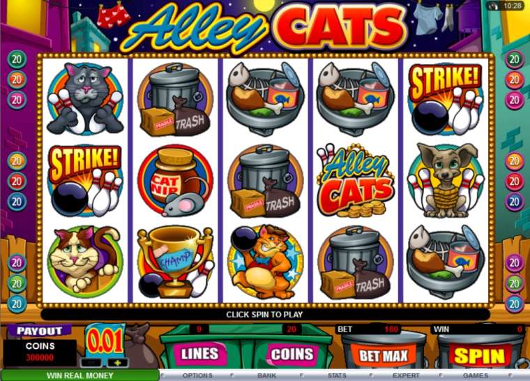 Play Alley Cats slot