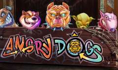 Play Angry Dogs