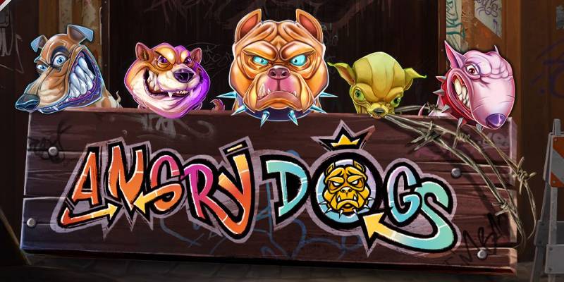 Angry Dogs
