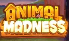 Play Animal Madness