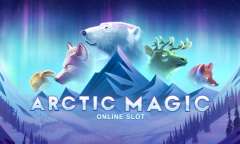 Play Arctic Magic
