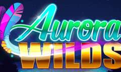 Play Aurora Wilds