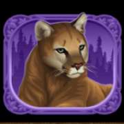 Cougar symbol in Exotic Cats slot