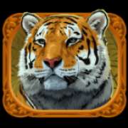 Tiger symbol in Exotic Cats slot