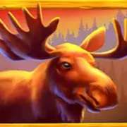 Deer symbol in Money Moose slot