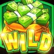 Wild symbol in Cash Bonanza slot