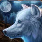 White wolf symbol in Wolf Canyon: Hold & Win slot