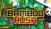 Play Bamboo Rush slot