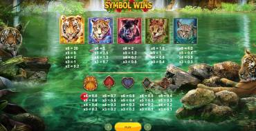 Big Cat Rescue Megaways: Payout table