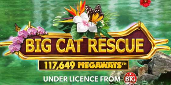 Big Cat Rescue Megaways (Red Tiger)