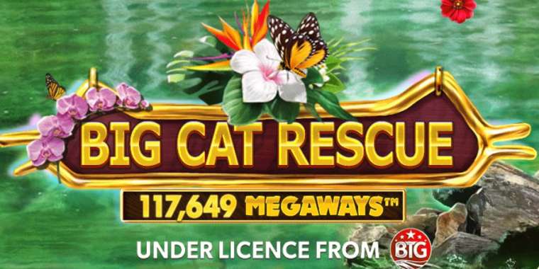 Play Big Cat Rescue Megaways slot