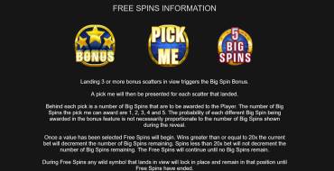 Big Spin Bonus: Free spins and/or respins