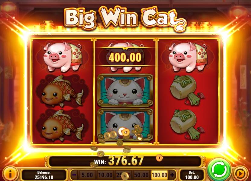 Big Win Cat