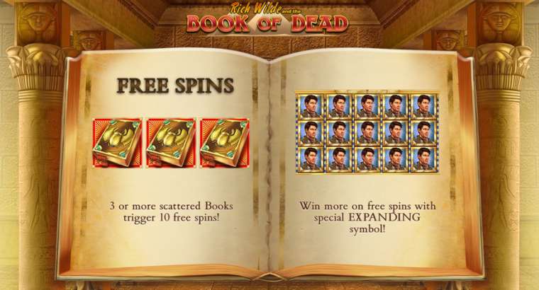 Play Book of Dead slot