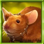 Book Of Enchantments: Mouse