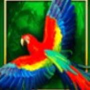 Book of The Jungle: Parrot