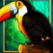 Book of The Jungle: Toucan