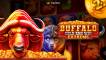 Buffalo Hold And Win Extreme 10000 slot