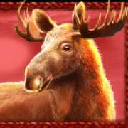 Buffalo King Megaways: Moose