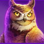 Buffalo Power Megaways: Owl