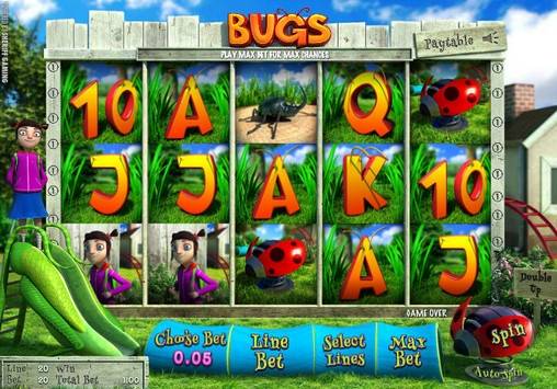 Bugs
