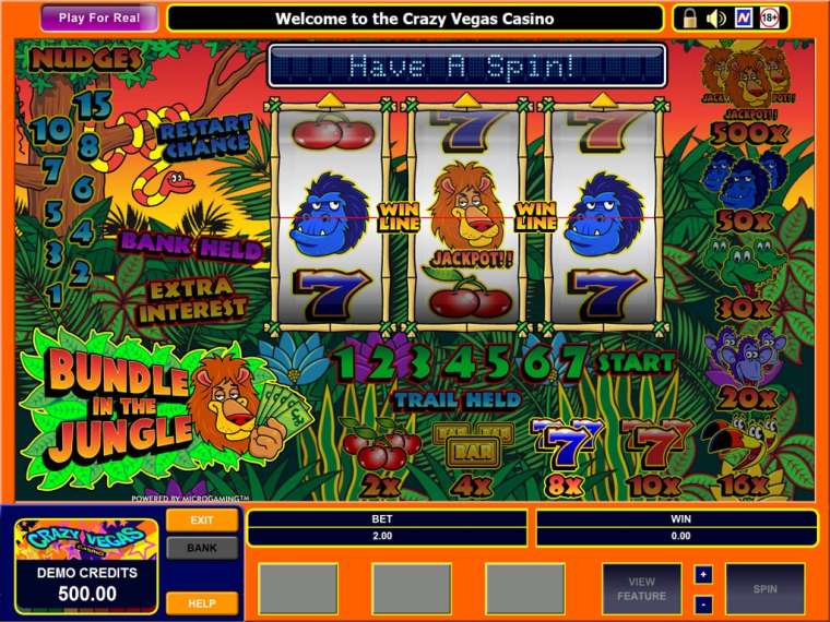 Play Bundle in the Jungle  slot