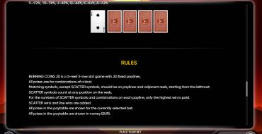 Burning Coins 20: Rules