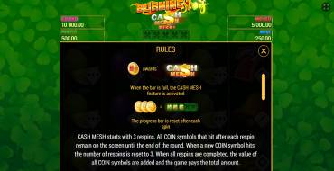 Burning Slots Cash Mesh Ultra Dice: Bonus games