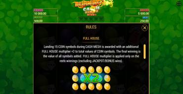 Burning Slots Cash Mesh Ultra Dice: Bonus games