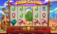 Play Cash Camel