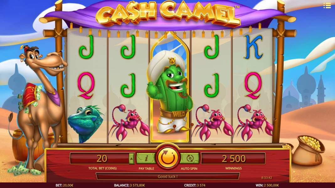 Cash Camel