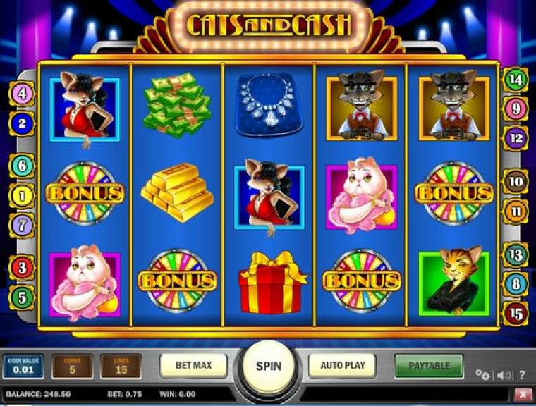 Play CATS and CASH slot