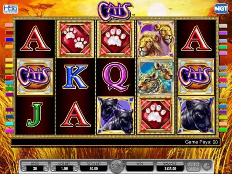 Play Cats slot