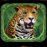 Leopard symbol in Exotic Cats slot