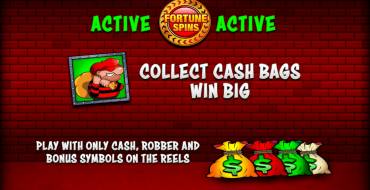 Cops`n`Robbers Bigger Big Money: Unique features