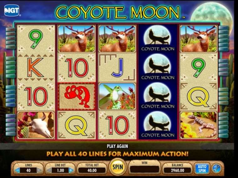 Play Coyote Moon slot
