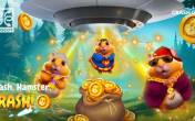 Crash, Hamster, Crash! free play