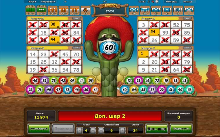 Play Crazy Cactus Bingo slot