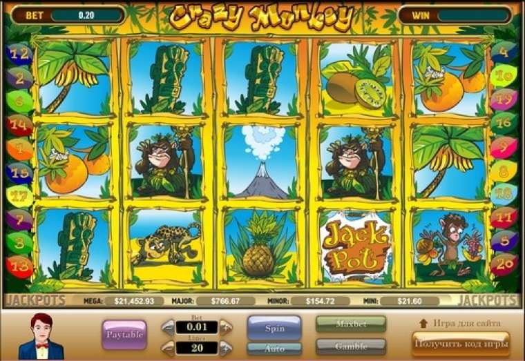 Play Crazy Monkey  slot